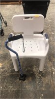 Shower chair and walking cane