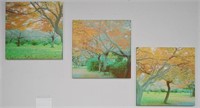 3 pcs Landscape Prints On Canvas 19.5" x 19.5"ea