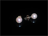 14 Karat Gold Pearl Studs