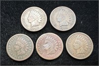 Lot of 5 Indian Head Pennies