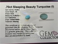 .70ct Sleeping Beauty Turquoise (I)
