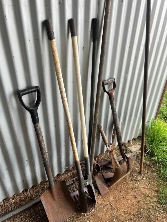 Molong Clearing Sale