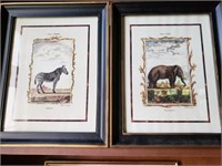 Framed Animal Plates by A. Bell Sculp