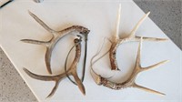 (2) Pairs of Game Call Antlers