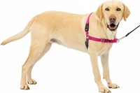 PetSafe Easy Walk Dog Harness  - Large