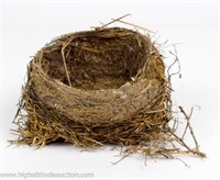 Real Abandoned Bird's Nest