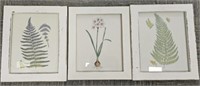 Shabby Chic Botanical Prints