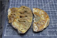 2 Polished Ammonite Broken Pieces W/druzy Pockets