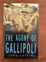 The Agony of Gallipoli