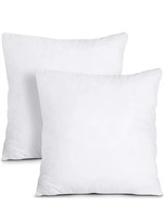 Throw Pillows 2pk