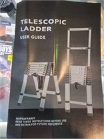 Telescopic Ladder