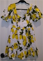 NWT ENGLISH Factory Lemon Dress Size Small #C40