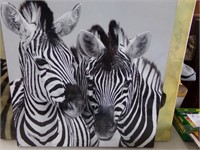 Picture 2-Zebras 23x23