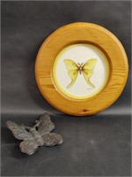 Cast Iron Butterfly, Lunar Moth Print in Frame