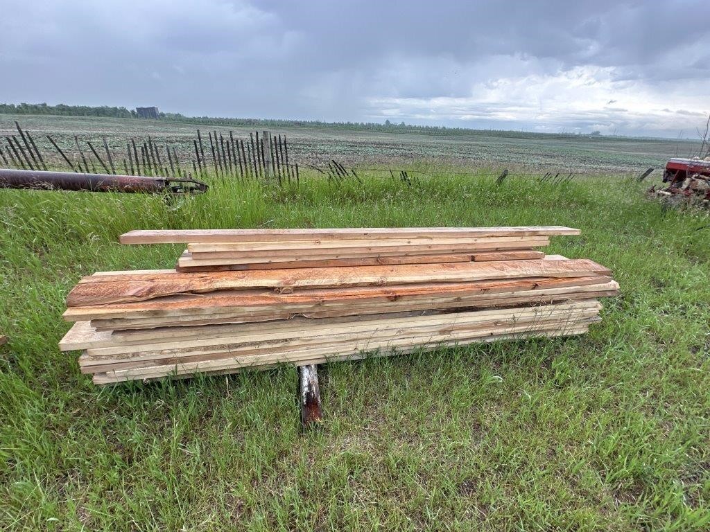 Pile of Assorted 10' Rought Cut Lumber Incl