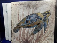 3 Canvas Turtle Pictures