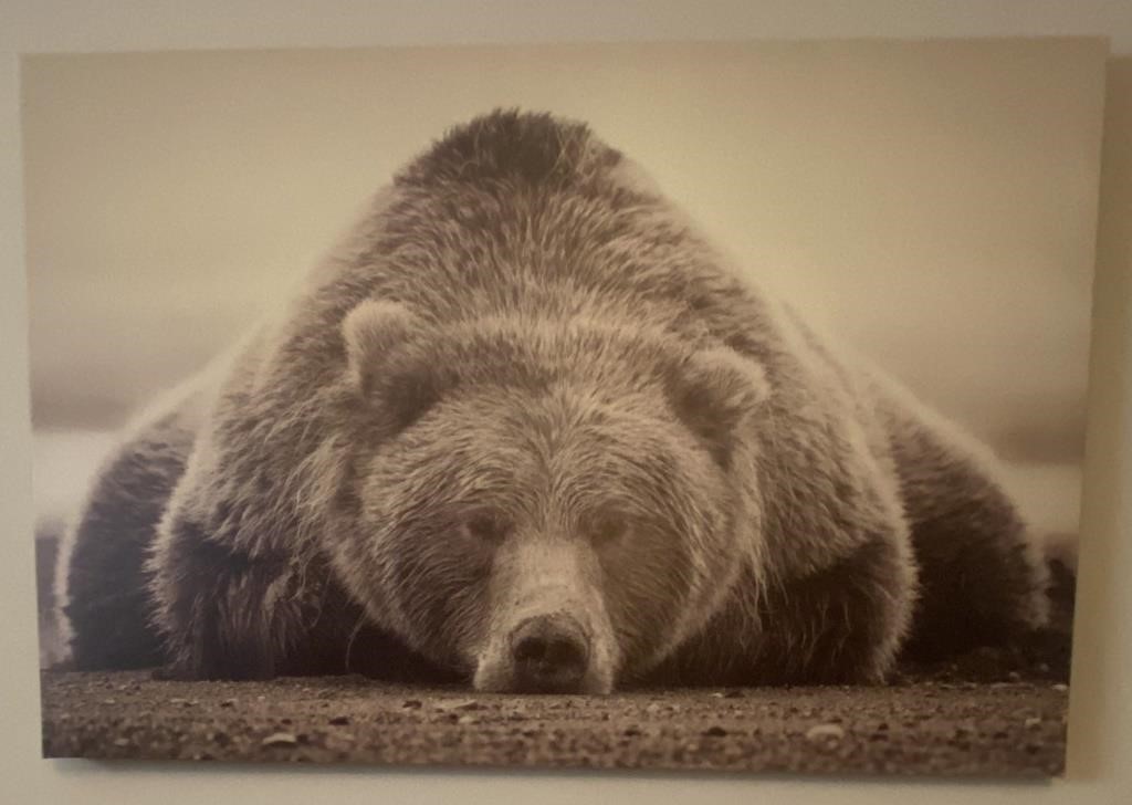 BEAR PRINT ON CANVAS