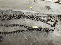 Various lengths of log chain