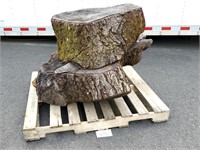 Black Walnut (?) Trunk / Stumps / Logs (No Ship)