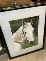 Local Photographer Framed Horse Picture