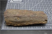 Petrified Wood 4lbs 7ozs