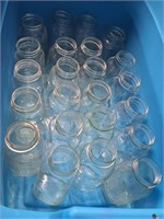 STERILITE Storage Tote w Canning Jars