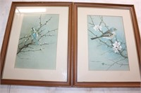 Two VTG framed bird prints