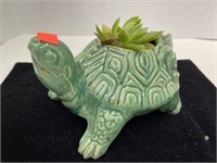Ceramic Turtle Planter w/ Succulent.  7x4x5in
