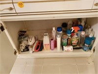 CABINET OF MISC. CLEANING CONTENTS