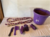 4-H purple brushes. Pail. Lead shank
