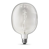 Feit 75 Watt LED Bulb