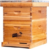 Bee Hive 10 Frame Starter Kit with Frames