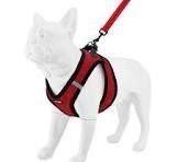M MATINOR RED HARNESS WITH LEASH
