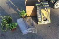 Box of reptile cage decor