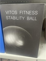 VITOS 55 CM AGILITY BALL W PUMP