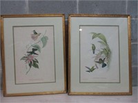 2 19x25 Hummingbird Framed Pictures