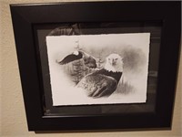 Black and White Bald Eagle Picture Dallen Lambson