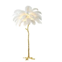 HCJIAJING Ostrich Feather Floor Lamp Modern Ostri