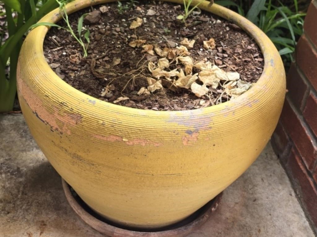 Large Mid Century Style Pottery Flower Pot