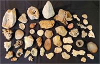 Lot of Coral and Fossils Geode Specimens
