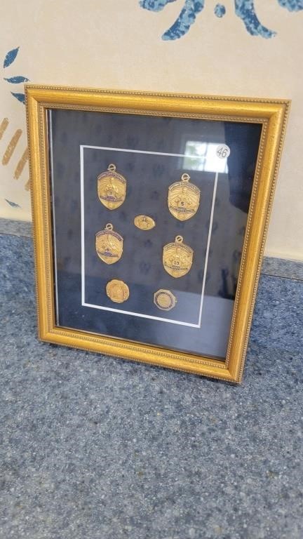 Framed award medal collection