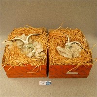 (2) Goebel Sea Gull Figurines in Boxes