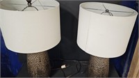 2 nice lamp missing 1 top screw holder