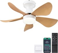 Kviflon Ceiling Fan w/ Lights  30 inch