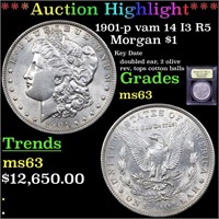 *Highlight* 1901-p vam 14 I3 R5 Morgan $1 Graded S