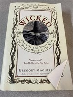 Wicked Witch Book