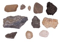 Artifacts, Minerals, & Fossils