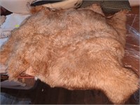 Animal Fur Rug/ Decor