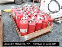 LOT, ASSORTED FIRE EXTINGUISHERS IN THIS BIN