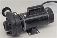 Magnetek CP Spa Pump 230 Volts